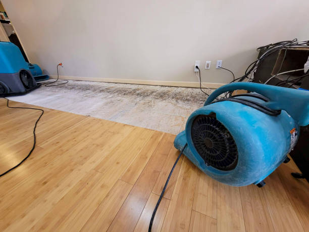 Professional Structural Drying technician working in Kenilworth, NJ